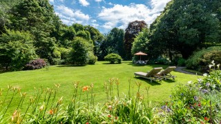 View of the garden from the house